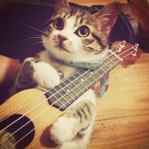 亚洲欧美色国产综合
